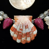 Kauai Sunrise Shell