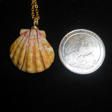 Sunrise Shell Necklace