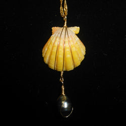 Sunrise Shell Necklace w/ Tahitian pearl on 18k Gold spiral herringbone chain