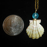 Authentic hand crafted Kauaian sunrise shell necklace
